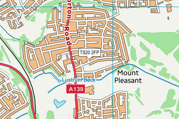 TS20 2FP map - OS VectorMap District (Ordnance Survey)