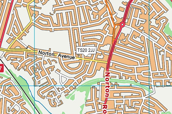 TS20 2JJ map - OS VectorMap District (Ordnance Survey)