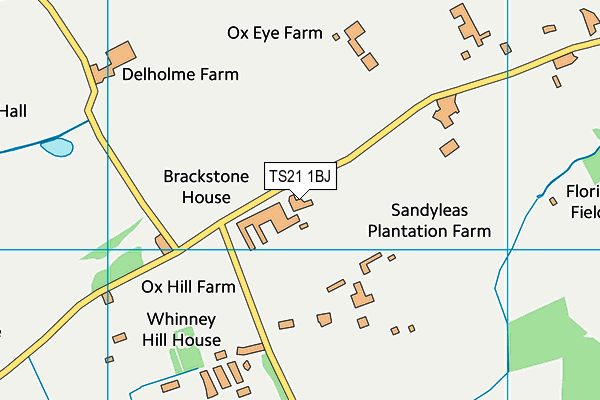 TS21 1BJ map - OS VectorMap District (Ordnance Survey)