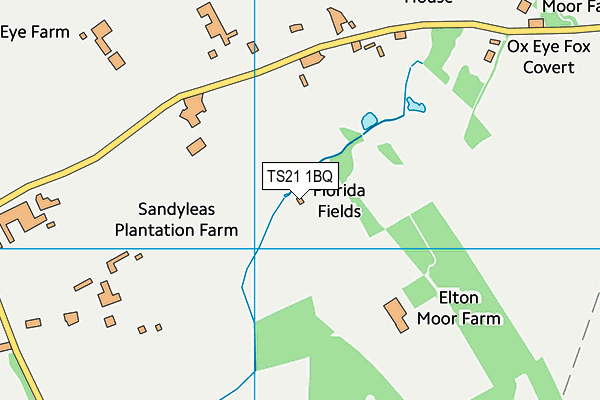 TS21 1BQ map - OS VectorMap District (Ordnance Survey)