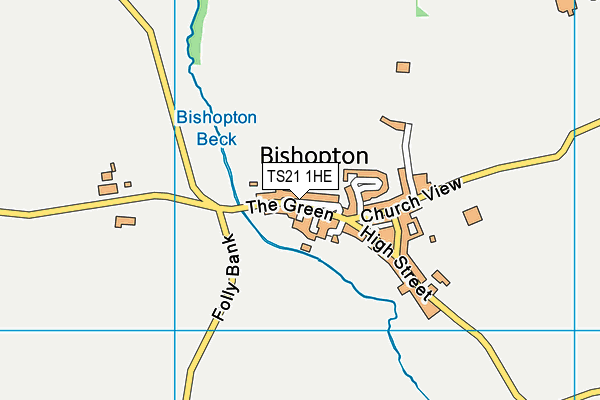 TS21 1HE map - OS VectorMap District (Ordnance Survey)