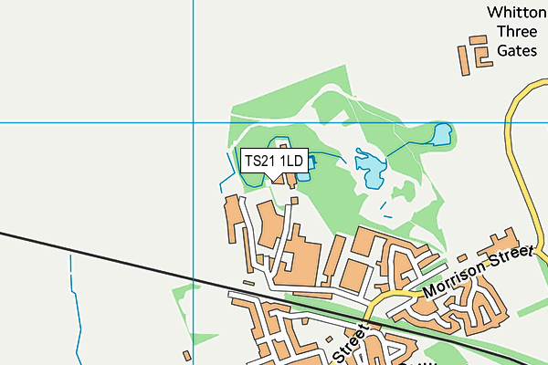 TS21 1LD map - OS VectorMap District (Ordnance Survey)