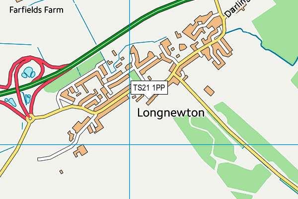 TS21 1PP map - OS VectorMap District (Ordnance Survey)