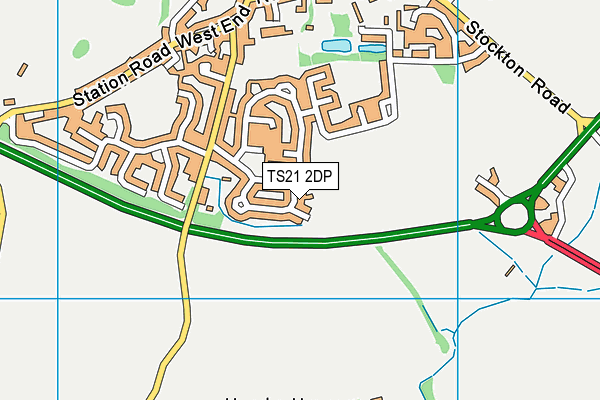 TS21 2DP map - OS VectorMap District (Ordnance Survey)