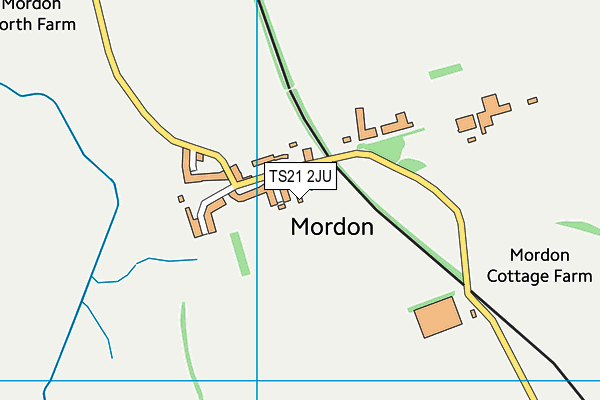 TS21 2JU map - OS VectorMap District (Ordnance Survey)