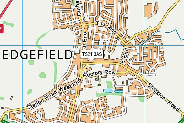 TS21 3AS map - OS VectorMap District (Ordnance Survey)