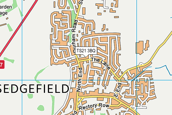 TS21 3BQ map - OS VectorMap District (Ordnance Survey)
