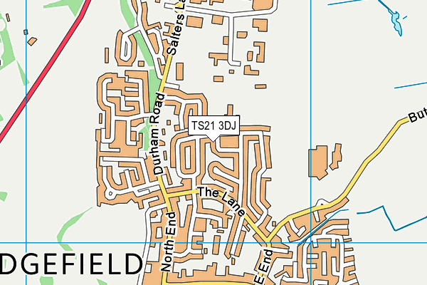 TS21 3DJ map - OS VectorMap District (Ordnance Survey)