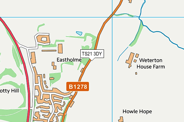 TS21 3DY map - OS VectorMap District (Ordnance Survey)