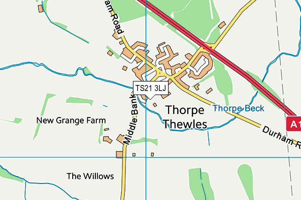 TS21 3LJ map - OS VectorMap District (Ordnance Survey)