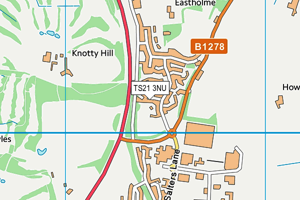 TS21 3NU map - OS VectorMap District (Ordnance Survey)