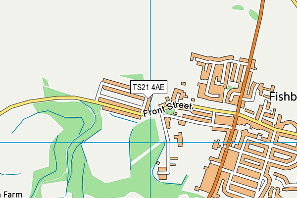 TS21 4AE map - OS VectorMap District (Ordnance Survey)