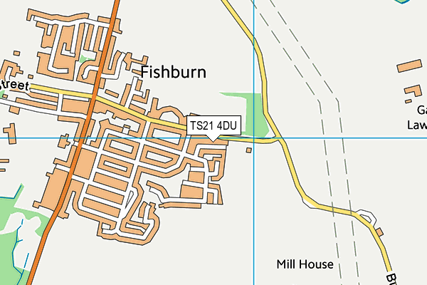 TS21 4DU map - OS VectorMap District (Ordnance Survey)