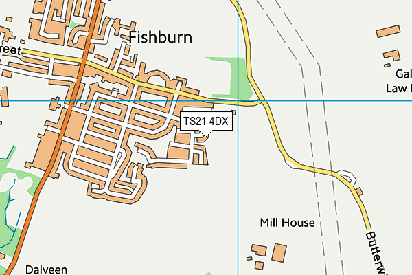 TS21 4DX map - OS VectorMap District (Ordnance Survey)