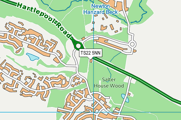 TS22 5NN map - OS VectorMap District (Ordnance Survey)