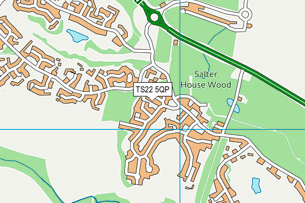 TS22 5QP map - OS VectorMap District (Ordnance Survey)