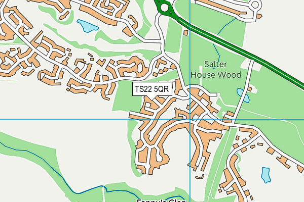 TS22 5QR map - OS VectorMap District (Ordnance Survey)