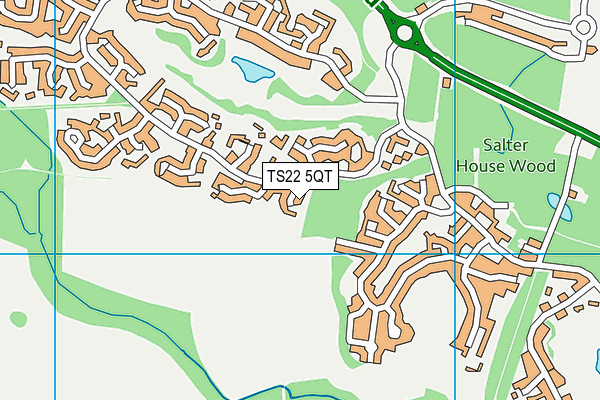 TS22 5QT map - OS VectorMap District (Ordnance Survey)