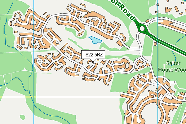 TS22 5RZ map - OS VectorMap District (Ordnance Survey)