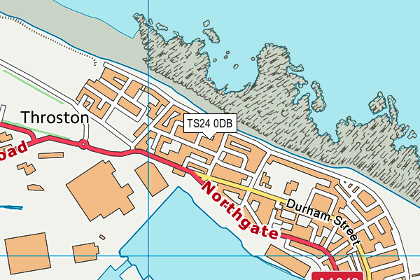 TS24 0DB map - OS VectorMap District (Ordnance Survey)