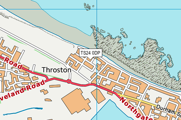 TS24 0DP map - OS VectorMap District (Ordnance Survey)