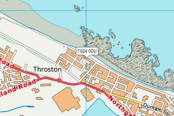 TS24 0DU map - OS VectorMap District (Ordnance Survey)