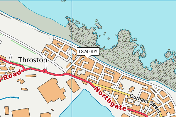 TS24 0DY map - OS VectorMap District (Ordnance Survey)