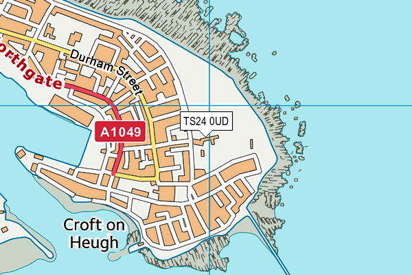 TS24 0UD map - OS VectorMap District (Ordnance Survey)