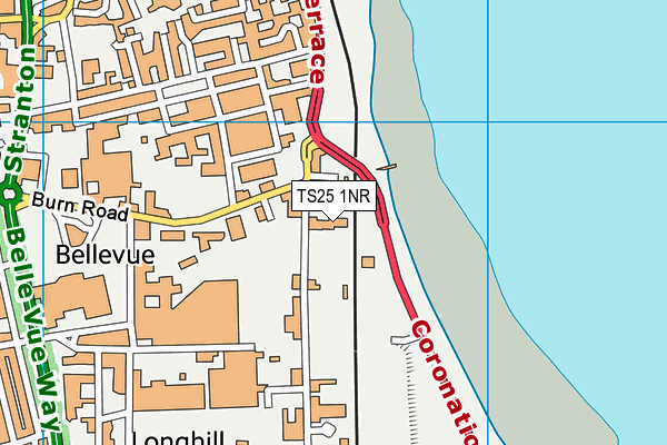 TS25 1NR map - OS VectorMap District (Ordnance Survey)