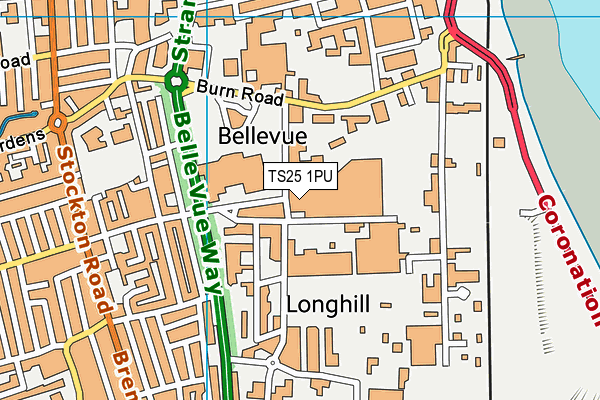 TS25 1PU map - OS VectorMap District (Ordnance Survey)