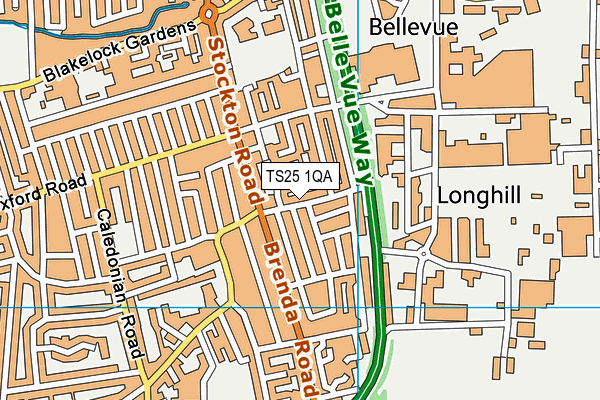 TS25 1QA map - OS VectorMap District (Ordnance Survey)