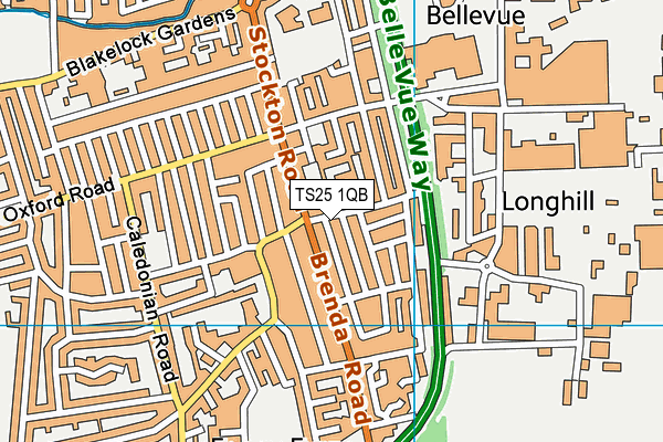 TS25 1QB map - OS VectorMap District (Ordnance Survey)