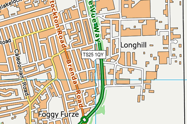 TS25 1QY map - OS VectorMap District (Ordnance Survey)