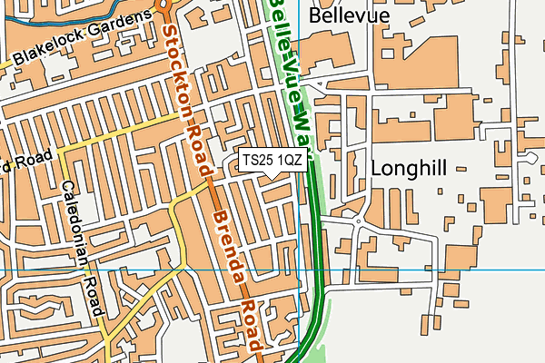 TS25 1QZ map - OS VectorMap District (Ordnance Survey)