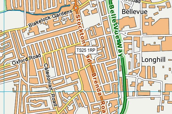 TS25 1RP map - OS VectorMap District (Ordnance Survey)