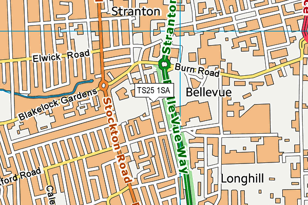 TS25 1SA map - OS VectorMap District (Ordnance Survey)