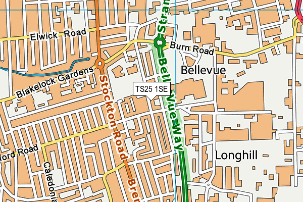 TS25 1SE map - OS VectorMap District (Ordnance Survey)