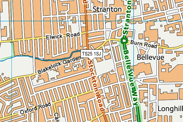 TS25 1SJ map - OS VectorMap District (Ordnance Survey)