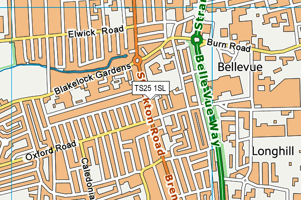 TS25 1SL map - OS VectorMap District (Ordnance Survey)