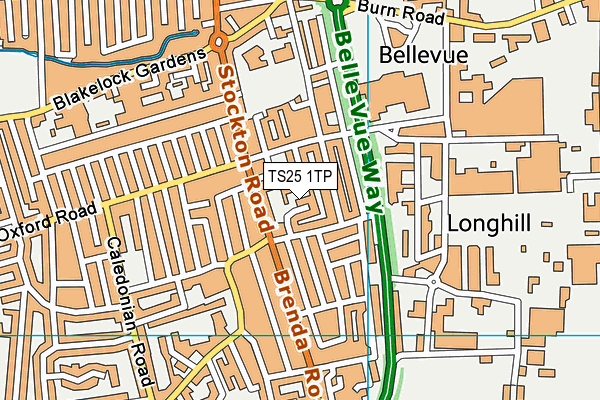 TS25 1TP map - OS VectorMap District (Ordnance Survey)