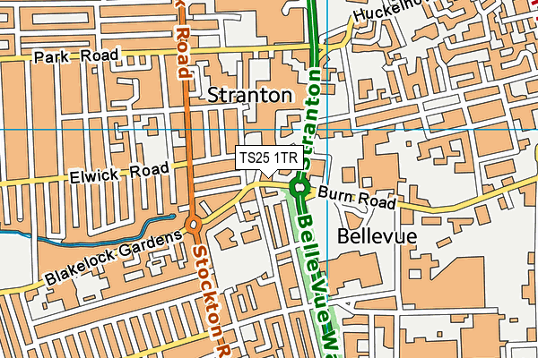 TS25 1TR map - OS VectorMap District (Ordnance Survey)