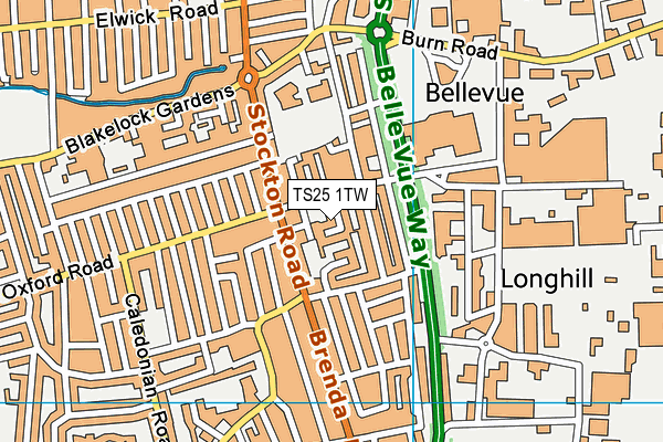 TS25 1TW map - OS VectorMap District (Ordnance Survey)