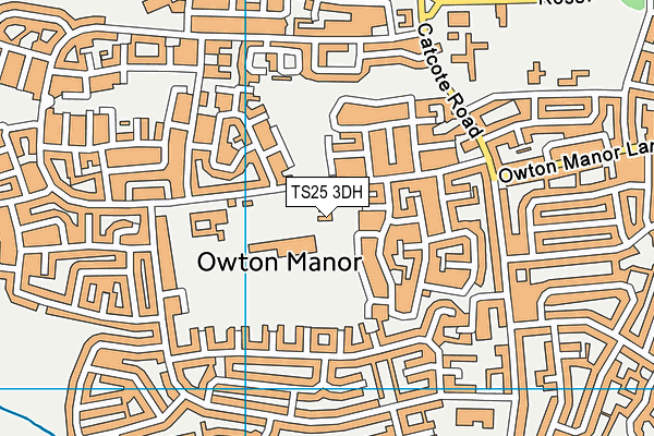 TS25 3DH map - OS VectorMap District (Ordnance Survey)