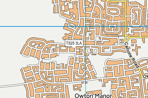 TS25 3LA map - OS VectorMap District (Ordnance Survey)