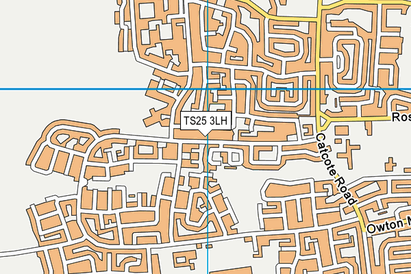 TS25 3LH map - OS VectorMap District (Ordnance Survey)