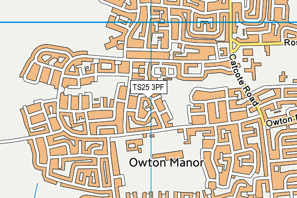 TS25 3PF map - OS VectorMap District (Ordnance Survey)