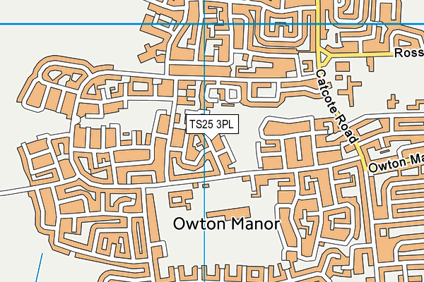 TS25 3PL map - OS VectorMap District (Ordnance Survey)