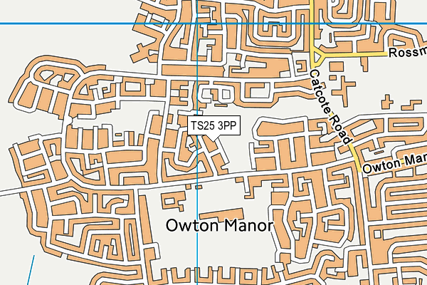 TS25 3PP map - OS VectorMap District (Ordnance Survey)