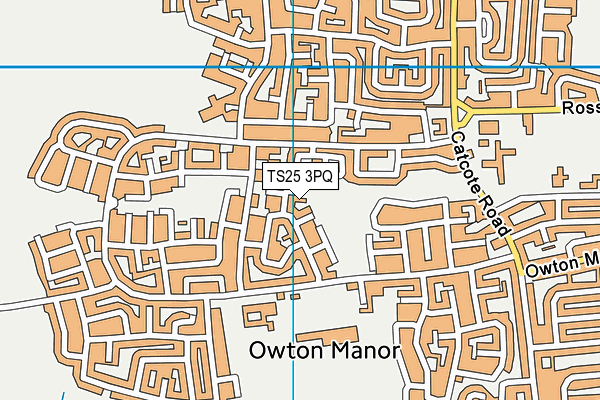 TS25 3PQ map - OS VectorMap District (Ordnance Survey)