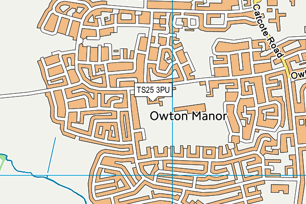Grange Primary School map (TS25 3PU) - OS VectorMap District (Ordnance Survey)